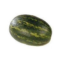 Organic Seedless Watermelon, 1 each