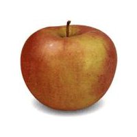 Organic Fuji Apples lb, 유기농 후지 사과 부사 lb (1lb = 약 1ea) – MEGAMART