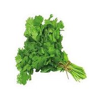 Organic Cilantro, 1 each