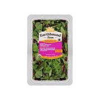 Earthbound Farm Organic 50/50, Spinach + Spring Mix, 1 Pound