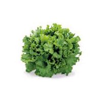 Green Leaf Lettuce - Organically Grown, 10 oz