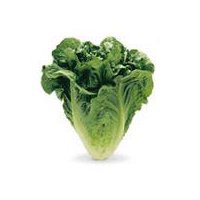 Cal-Organic Farms Organic Romaine Lettuce