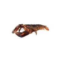 Fresh Seafood Department Wild Caught Live Lobsters, 1.3 pound