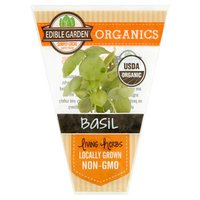 The Floral Shoppe Organic Basil Plant, 1 Each