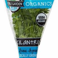 The Floral Shoppe Organic Cilantro Plant, 1 each