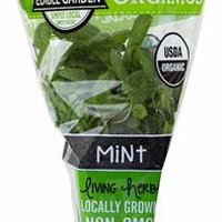 The Floral Shoppe Organic Mint Plant, 1 each