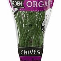 The Floral Shoppe Organic Chives Plant, 1 each, 1 Each