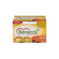 Benecol Original Buttery Spread 8 oz