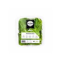 Gotham Greens Butterhead Lettuce, 4.5 oz