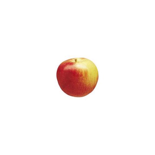 Empire Apple, 1 ct, 5 oz