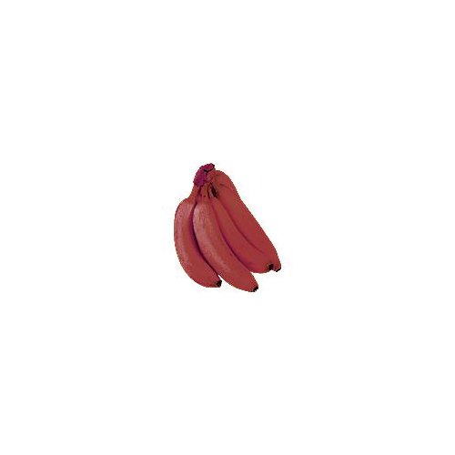 Red Bananas, 1 ct, 4 oz