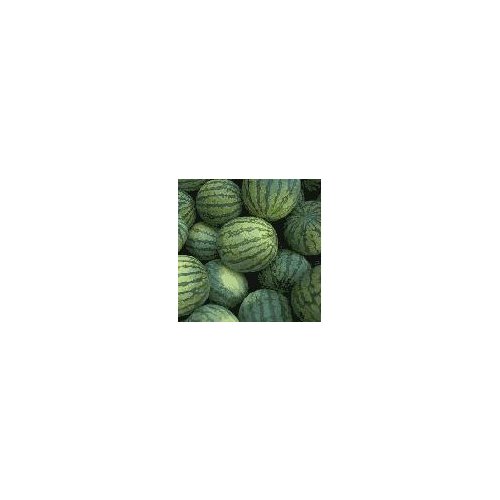 Santa Claus Melon, 1 each