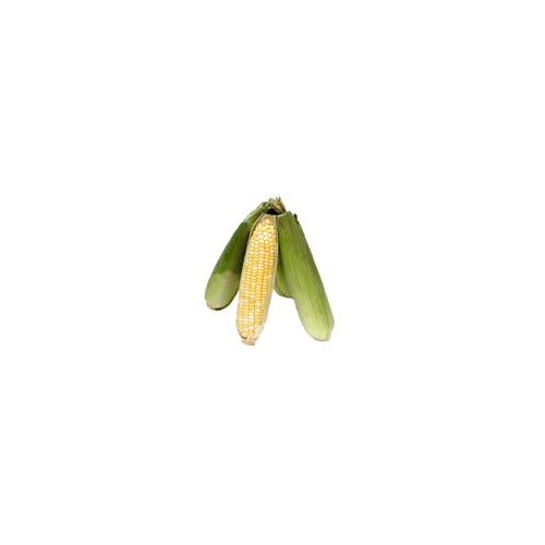 Bi-Color Corn, 4 ct, 4 each