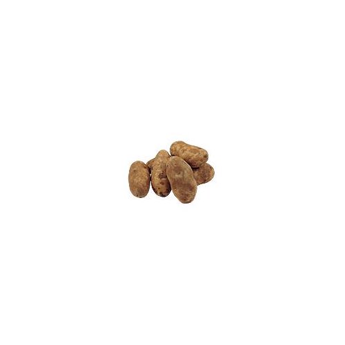 Russet Potatoes - 5lb - (brand May Vary) : Target