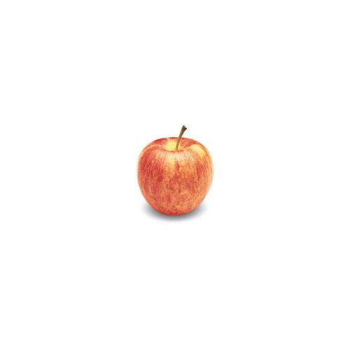 Organic Pinata Apple, 1 ct, 6 oz