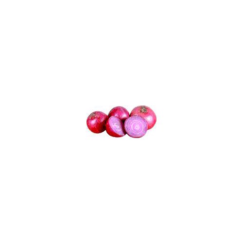 Purplish-red skin with white flesh, usually come medium to large sizes and have a mild to sweet taste with it.