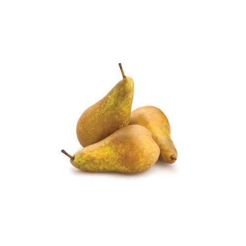 Fresh Bosc Pears, 3 lb Bag