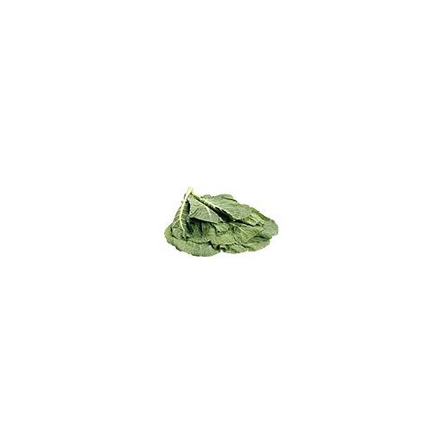 Organic Green Chard, 1 pound