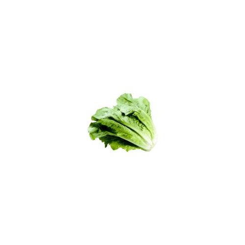 Long deep green leaves that has a crisp texture and a strong flavorful taste.