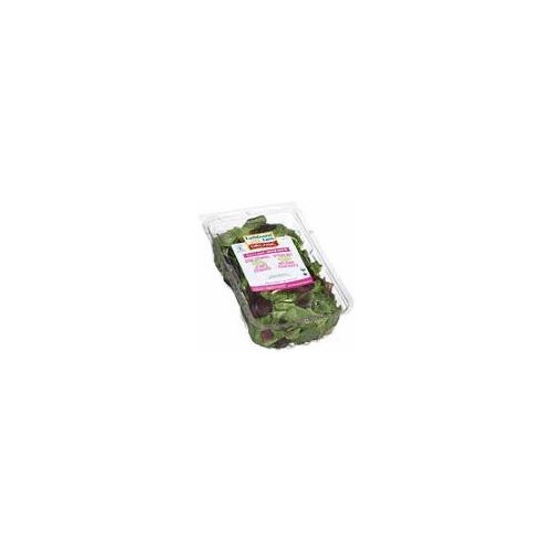 Organic Spring Mix - Earthbound Farm