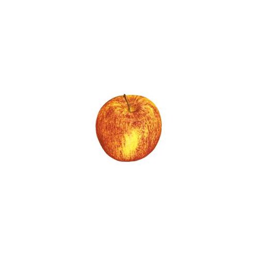 Lil Chief Orange/Red apple with a sweet and aromatic flavor that makes it a great addition to any meal or even just by itself.  
