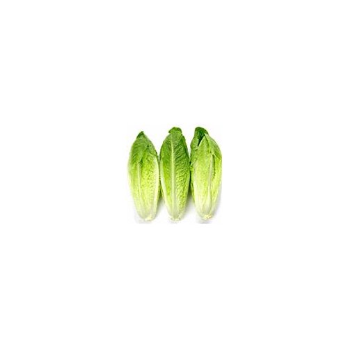 andy boy romaine hearts andy boy romaine hearts