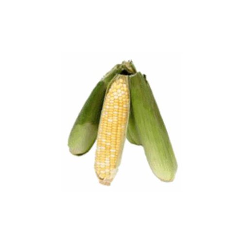 ShopRite Corn Tray - 4 ct, 4 each