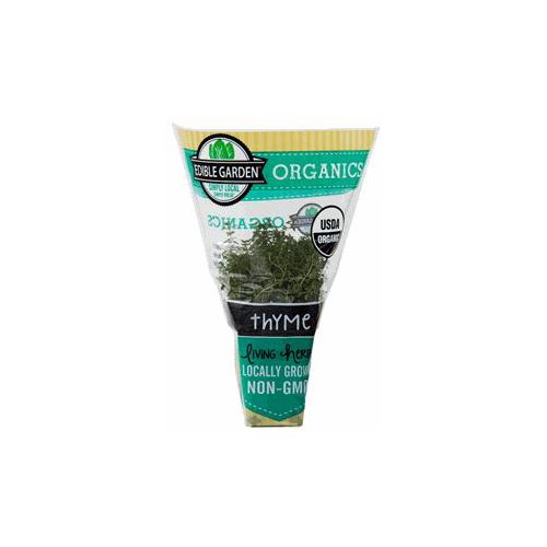 The Floral Shoppe Organic Thyme Plant, 1 each