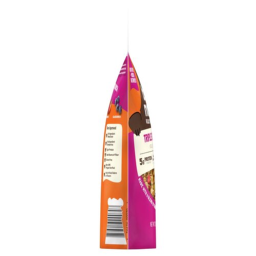 Bear Naked Triple Berry Crunch Granola, 5g Protein, Fiber, 12  oz Bag Image 10 of 11