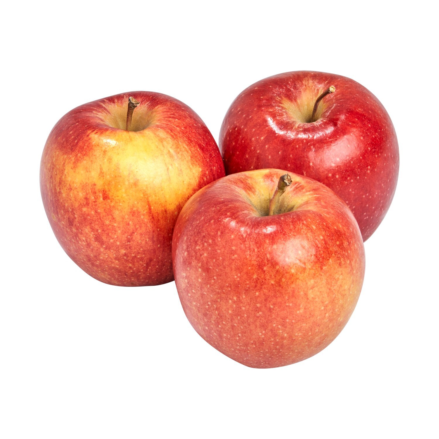 ◆エビApple Fresh Envy Apple - Fairway