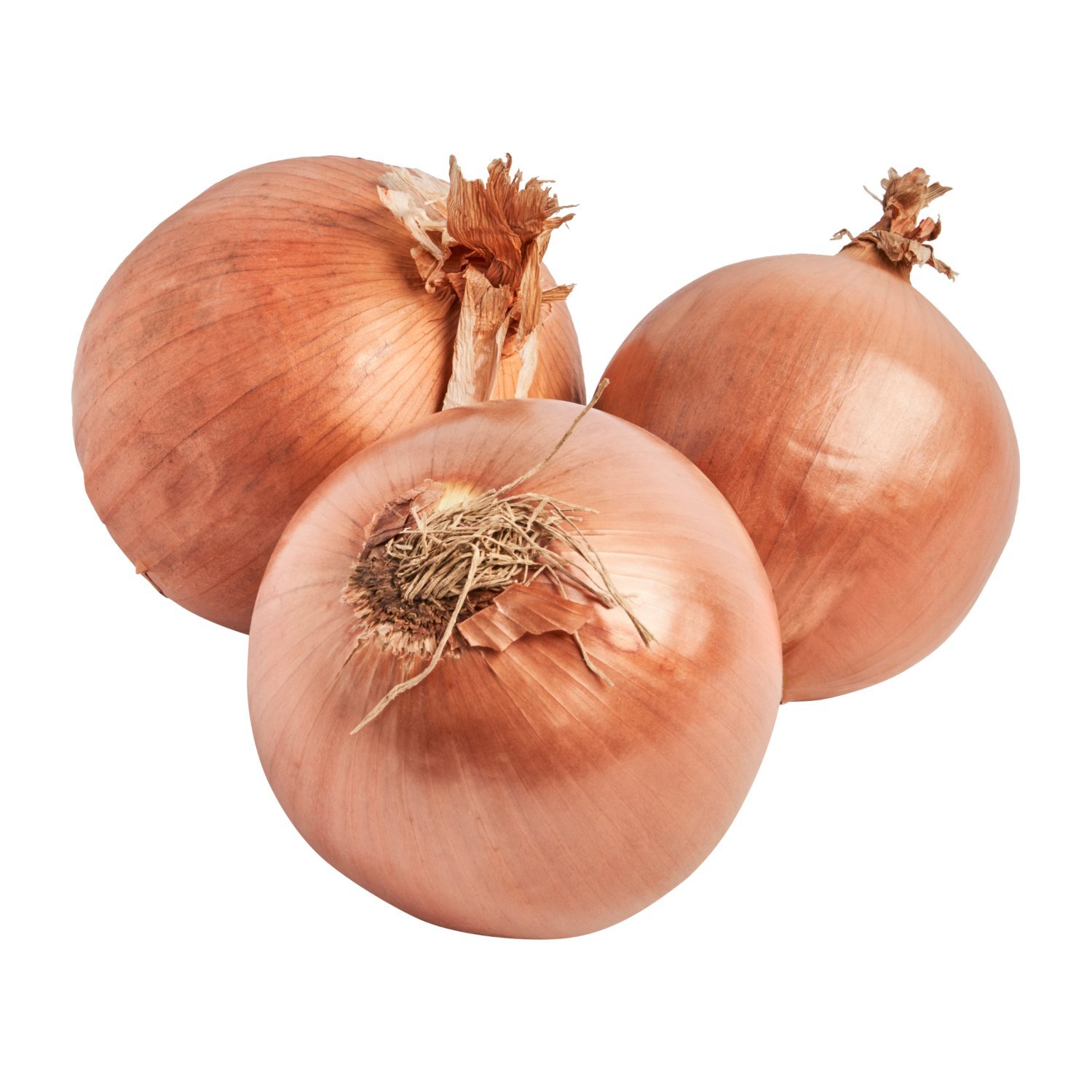 Fresh Spanish Onion Image 4 of 5
