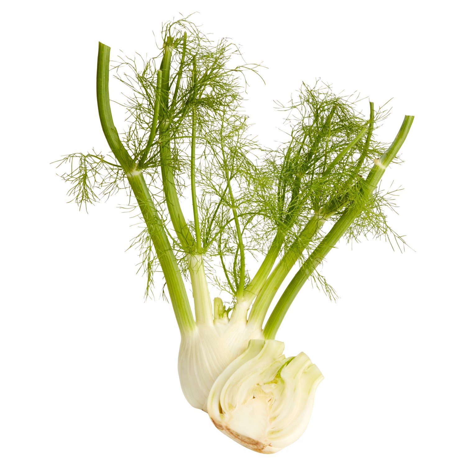 Fresh Anise Florence/Sweet Fennel/Fennel, each - The Fresh Grocer