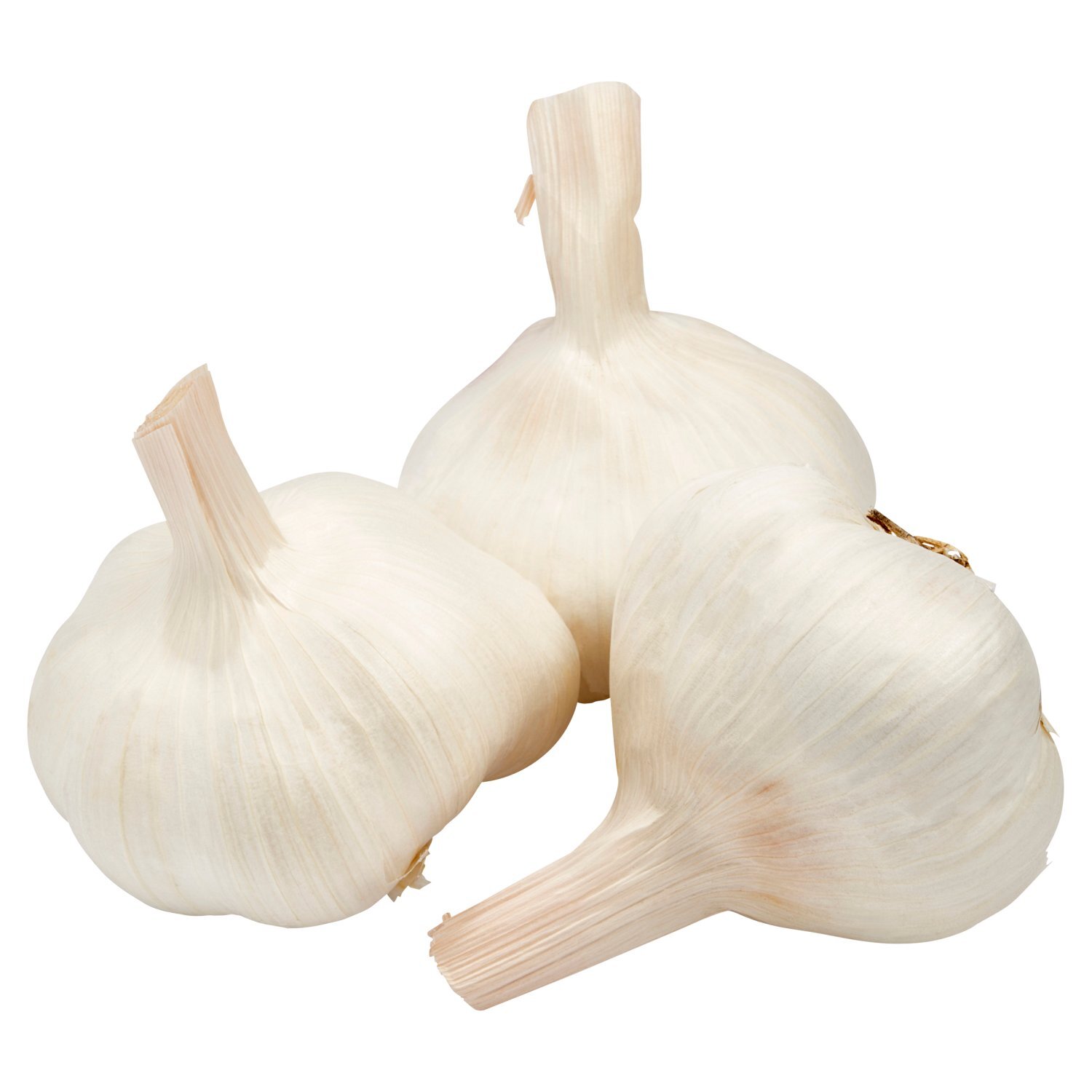 Fresh Garlic Image 5 of 5