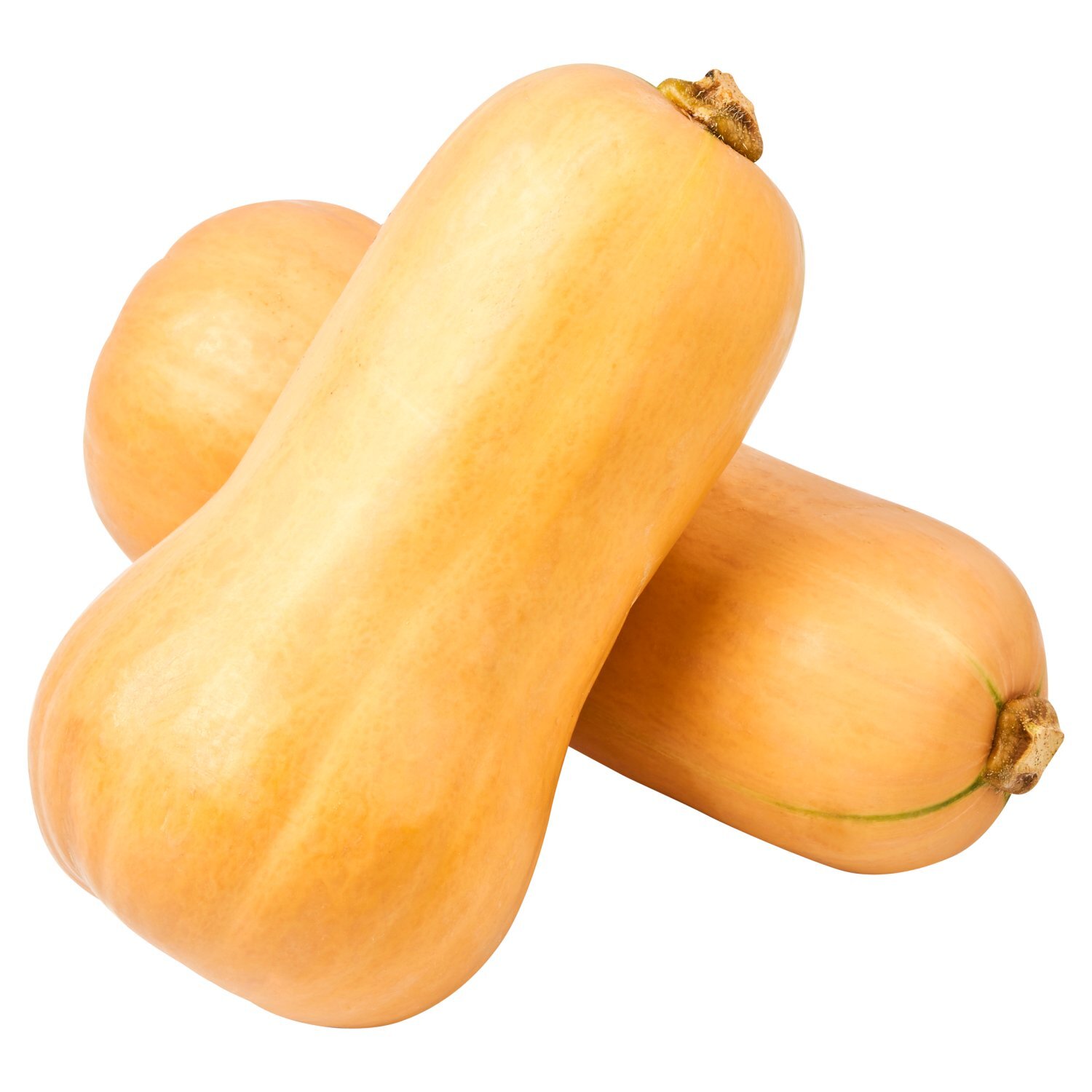 Fresh Butternut Squash Image 4 of 5