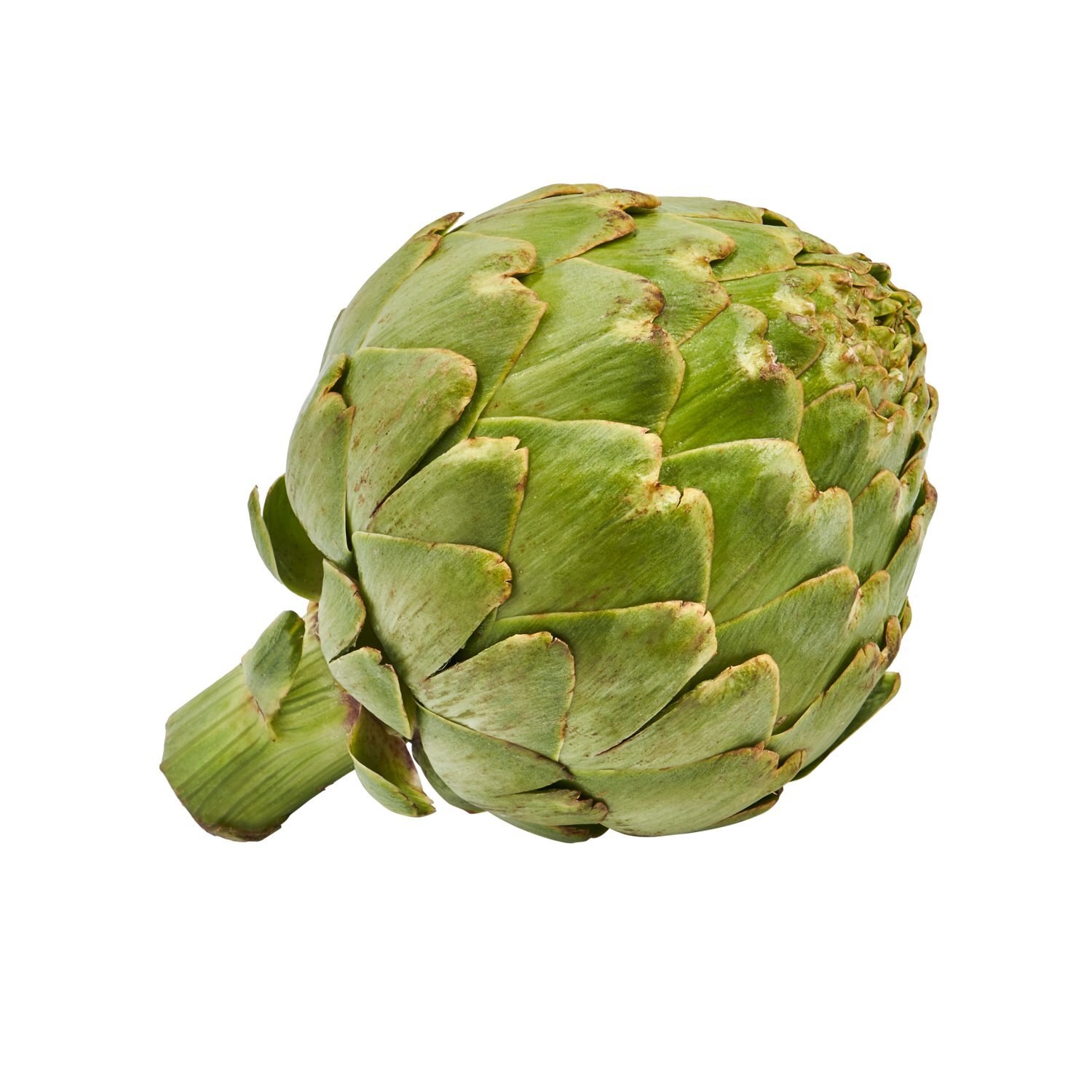 1 Artichoke