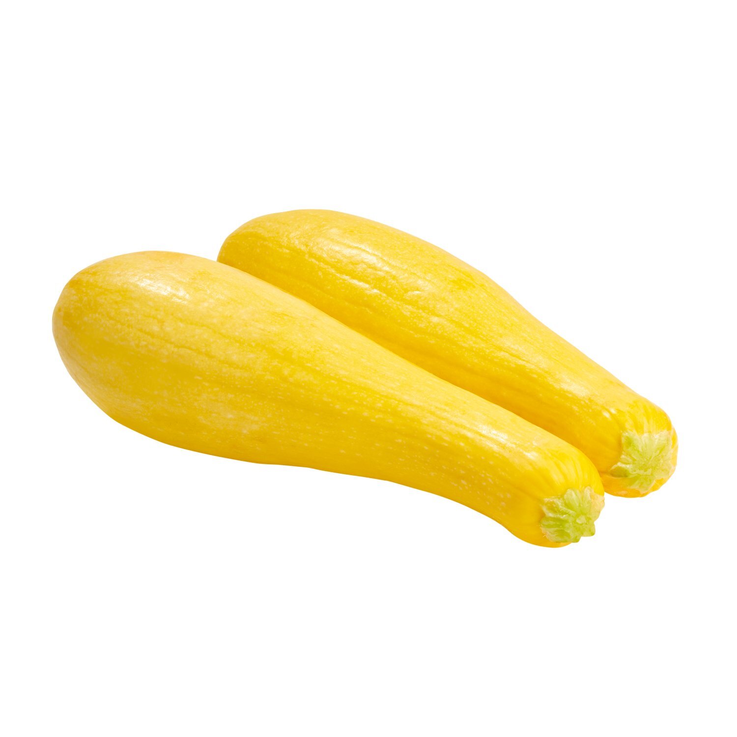 野菜 yellow 野菜 yellow 黄色い野菜たち | 北海道産の美味しいビーツや西洋野菜