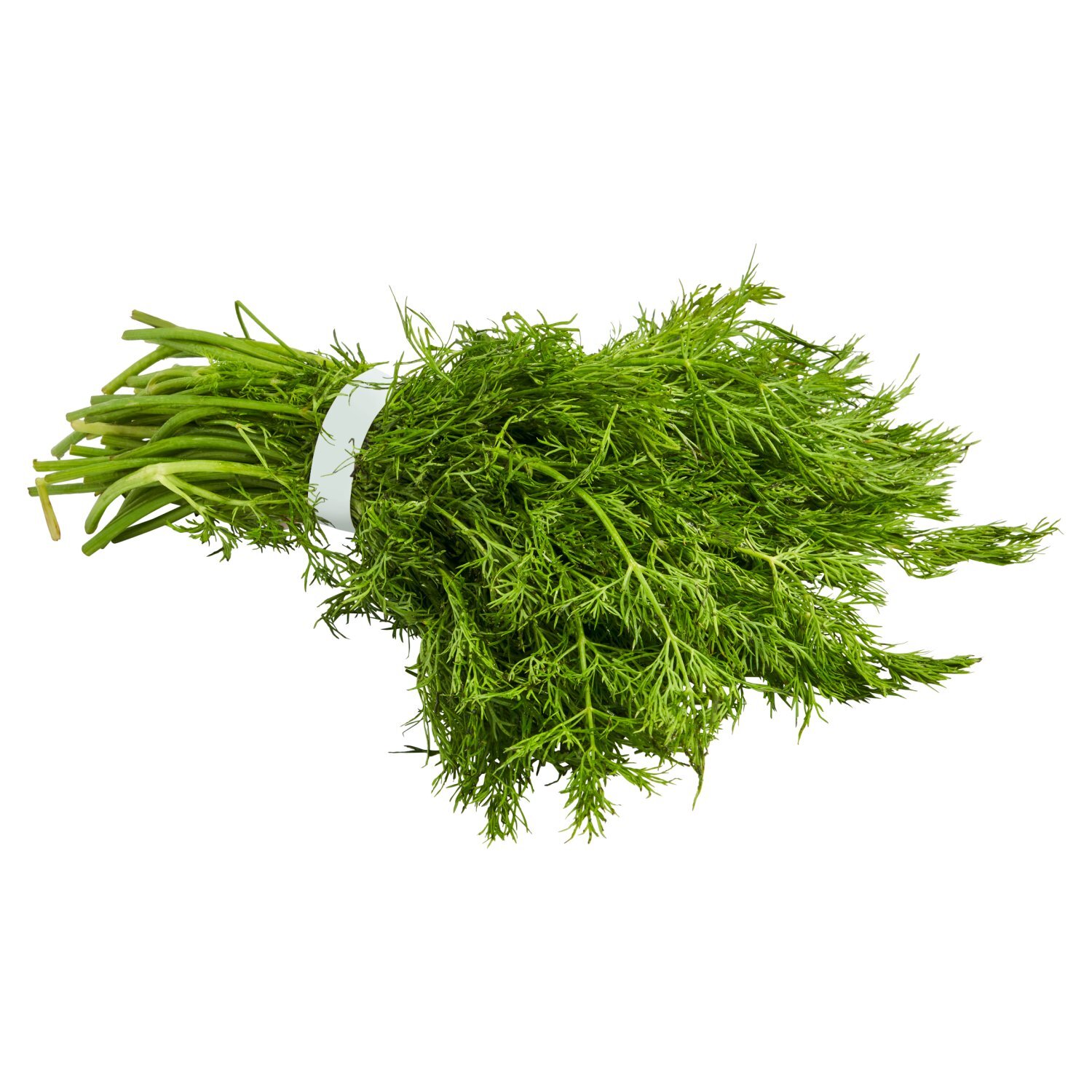 Fresh Dill, bunch Image 4 of 4