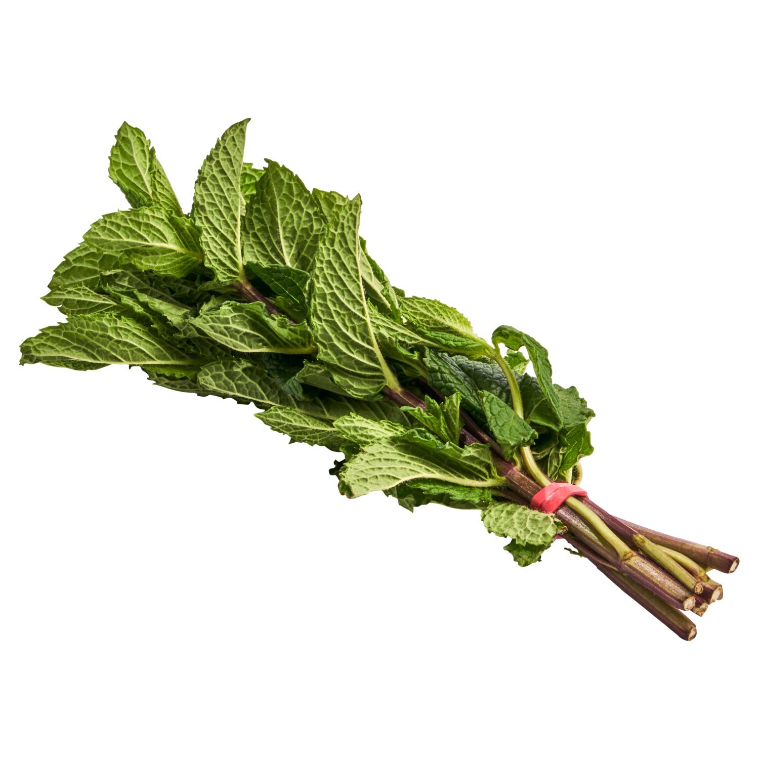 Fresh Mint, bunch Image 4 of 4