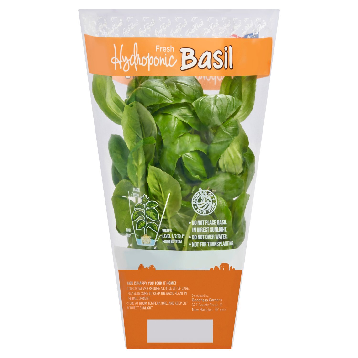 Fresh Hydroponic Basil, bunch Image 5 of 5