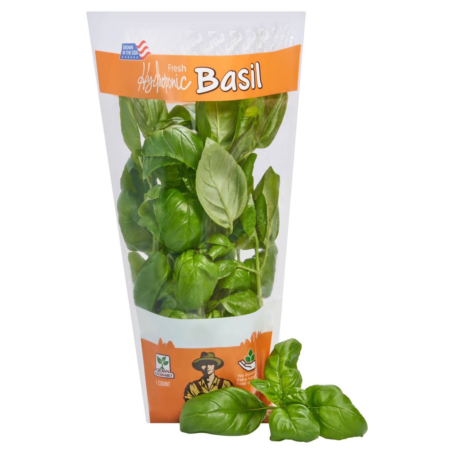 Fresh Hydroponic Basil, bunch Image 4 of 5