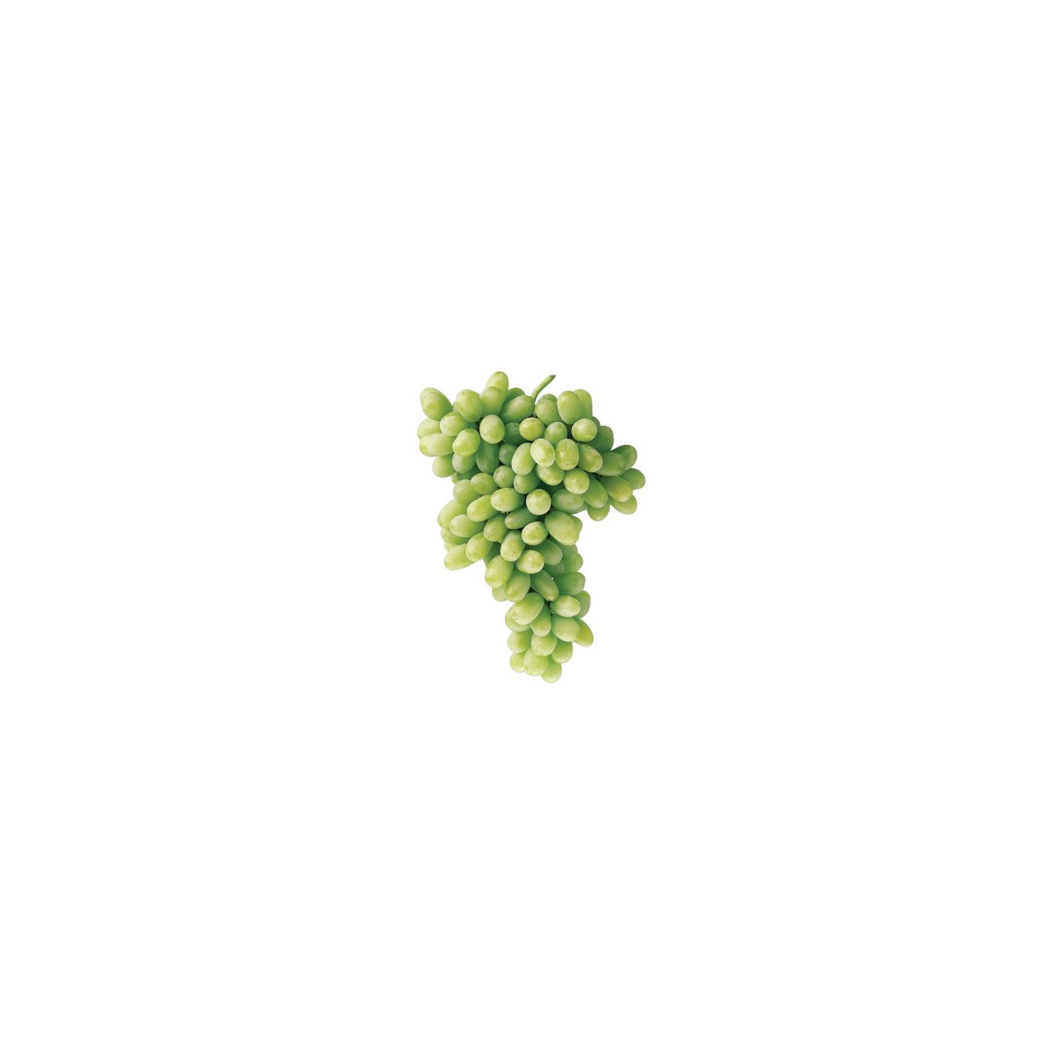 Organic Seedless Green Quip Grapes, 1 lb