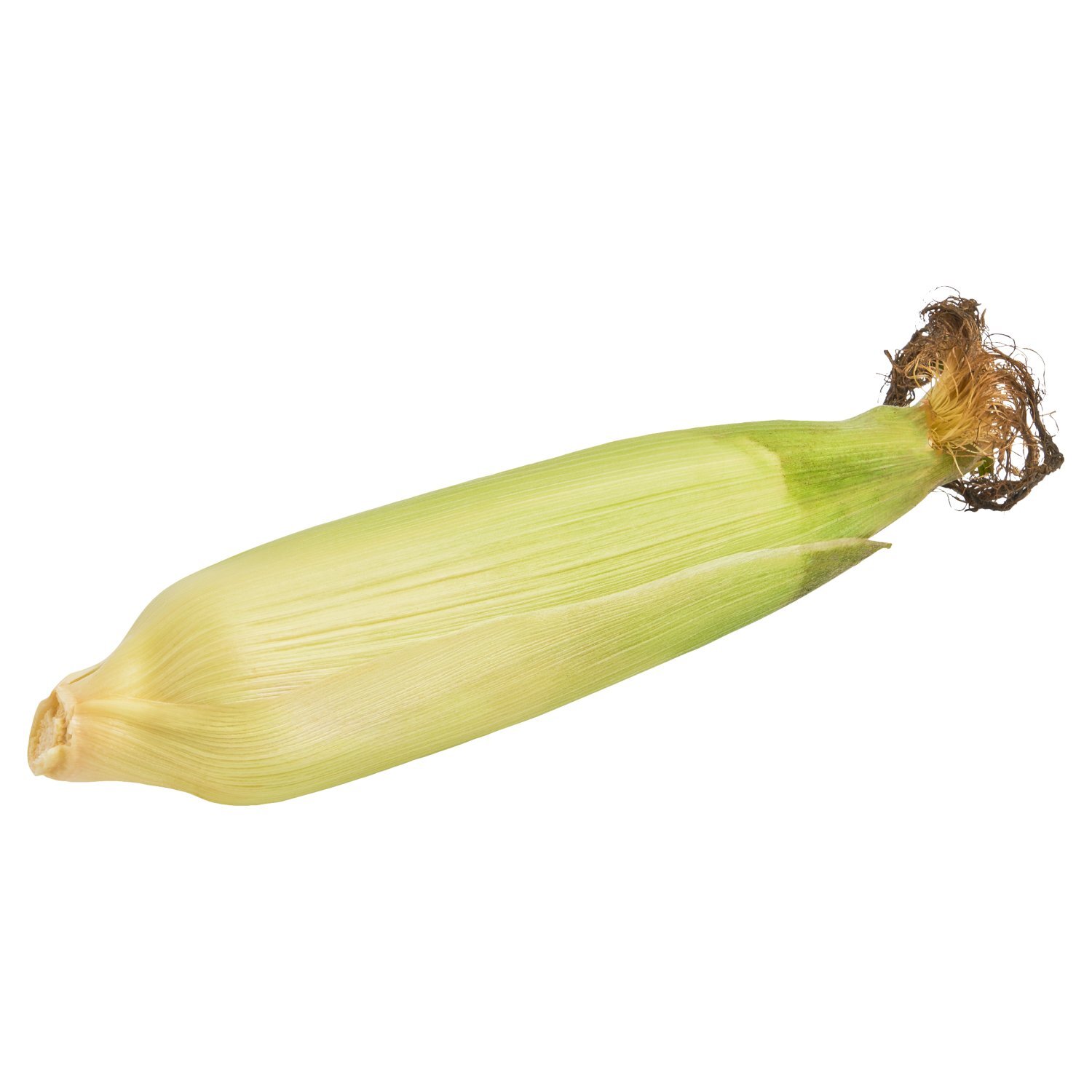 1 Ear