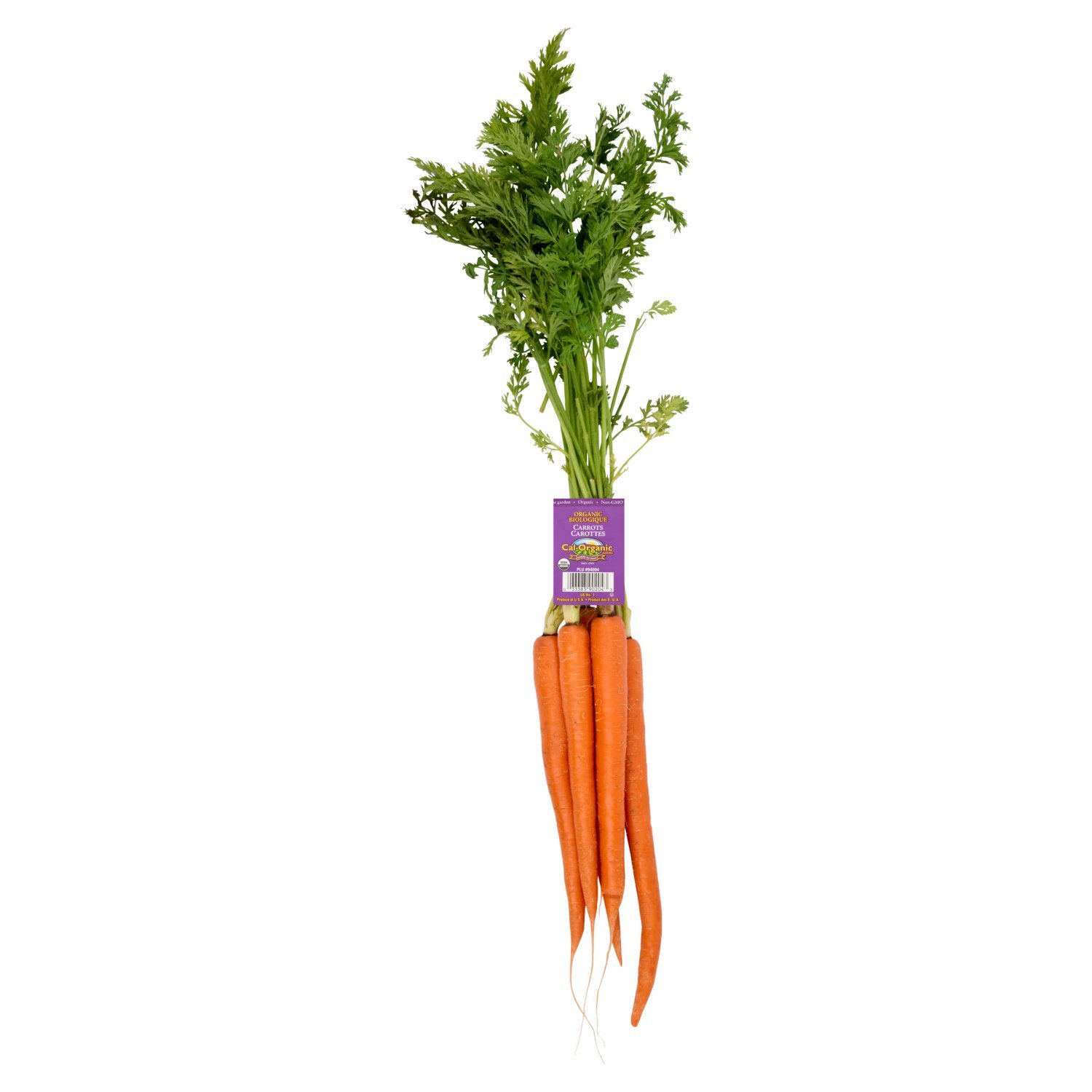 1 Bunch