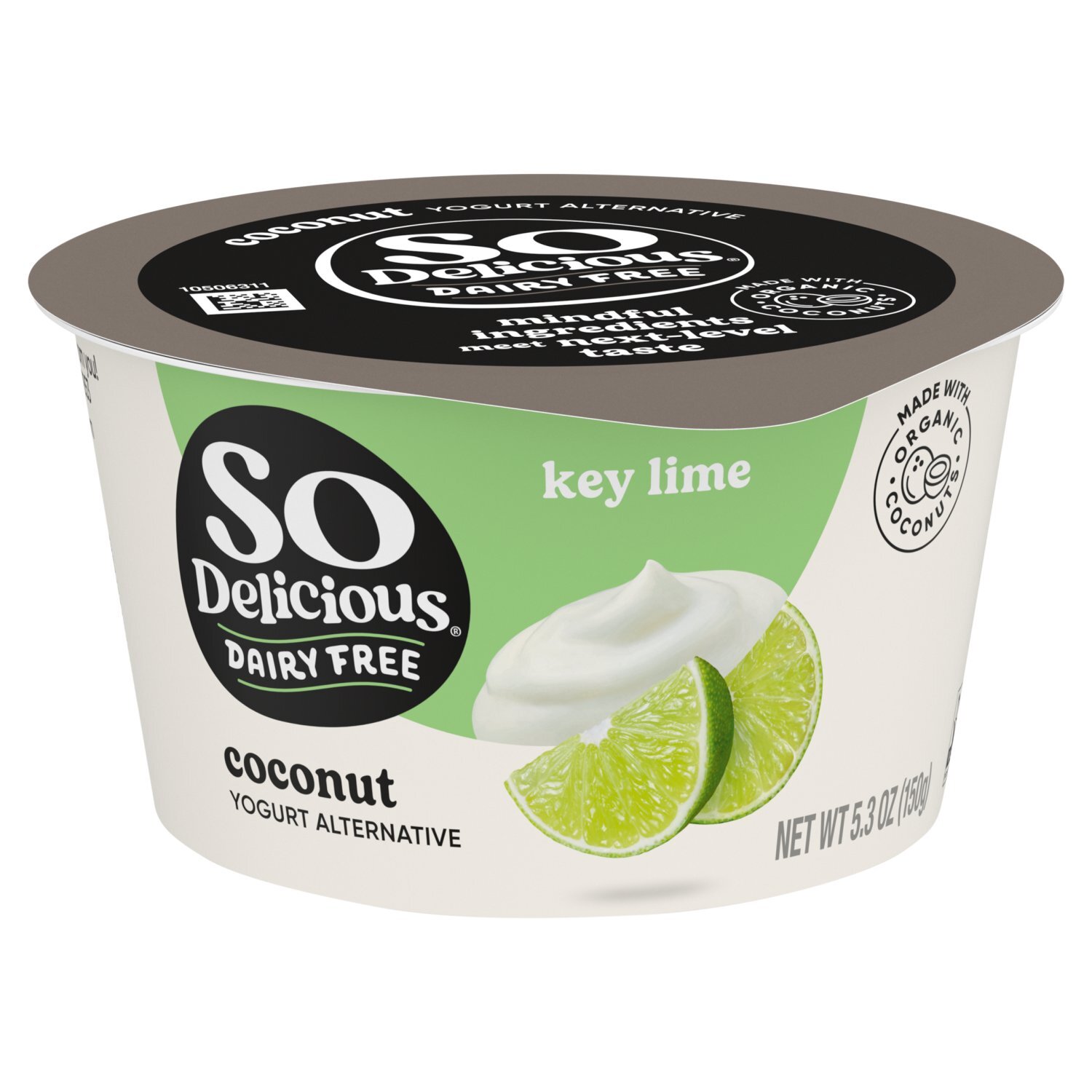 DeliciousTaylormade ノーヘルDexxtreamRide So Delicious Dairy Free Key Lime Coconut Yogurt Alternative, 5.3