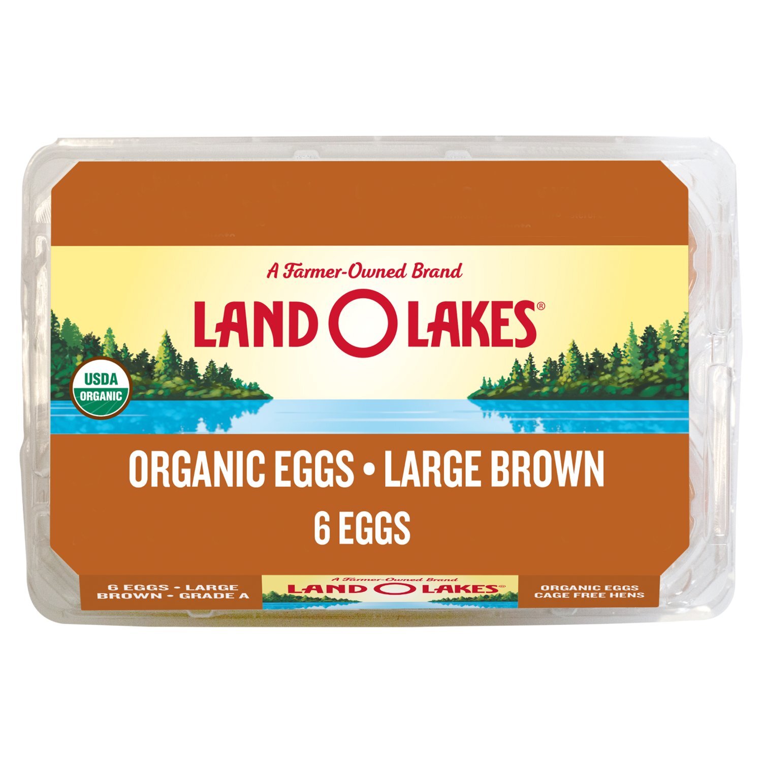 Large