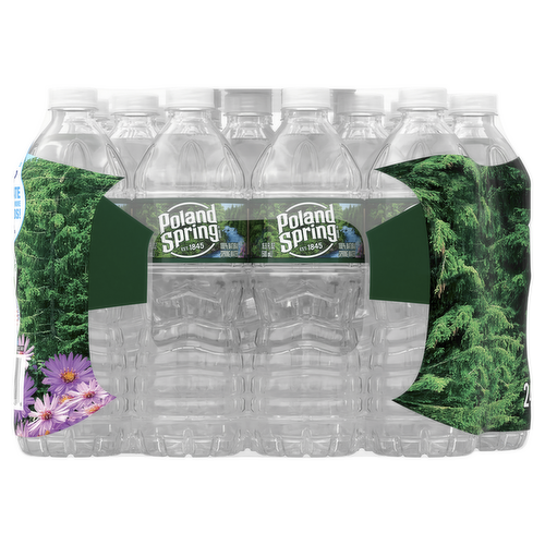 Poland Spring Brand 100% Natural Spring Water, 16.9 oz Plastic Bottles  (Pack of 24)