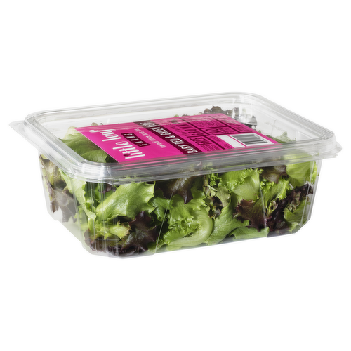 Little Leaf Farms Lettuce, Baby Red & Green Leaf