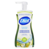 Dial - Complete Foaming Hand Wash - Fresh Pear