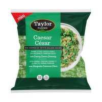 Taylor Farms - Caesar Mini Chopped Salad Kit