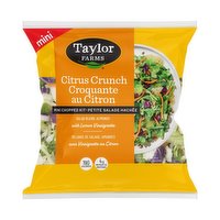 Taylor Farms - Citrus Crunch Mini Chopped Salad Kit, 132 Gram